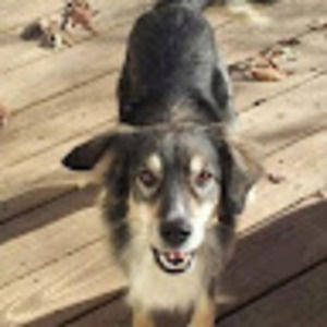 Meet your Posher, Jacquie